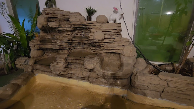 Comentarii opinii despre مطعم جونيه