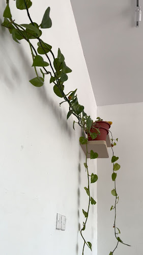 مقهى كاس مختص ، قهوة مختصه - الضيافة