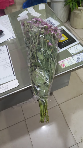 9VMF+H88، مزدلفة، النسيم، مكة 24242