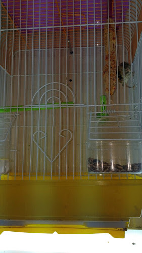 مستشار المزارع للزراعة