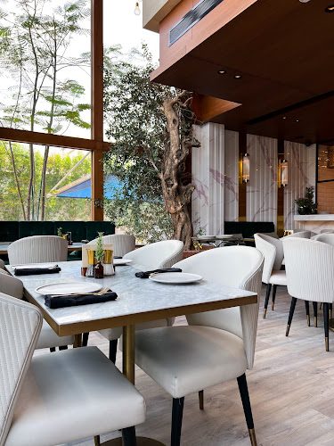 ذي سوشل كتشن