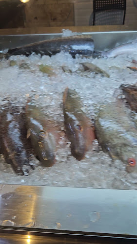 أسماك المينا جده - الضيافة