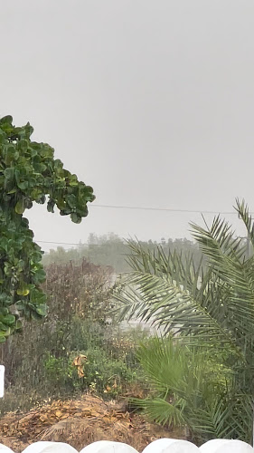 Comentarii opinii despre يونكو كافيه