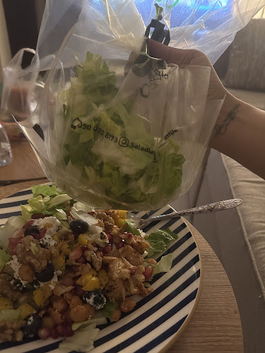 Salad lab مختبر السلطة