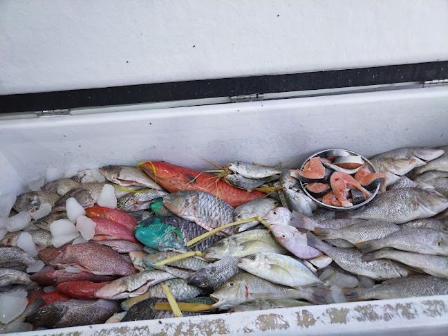 Opinii despre مطاعم الشيخ فهد عيد المزين للأسماك - شوران în المدينة المنورة - الضيافة