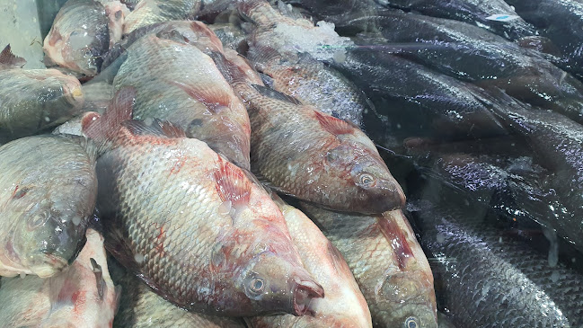 البغدادية الغربية، جوار فندق قصر المدينه، جدة 22231