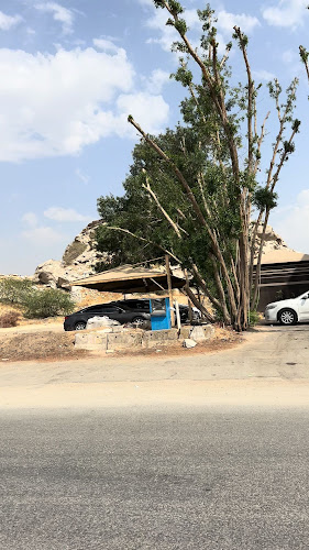 Comentarii opinii despre مطاعم المرجان للماكولات البحرية