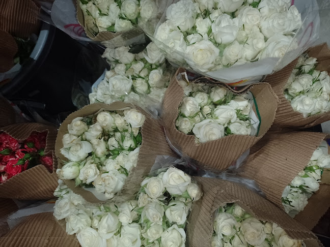 Opinii despre محل ازهار الورد în الدمام - الضيافة
