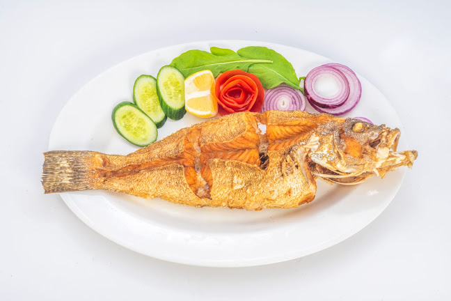 Comentarii opinii despre اسماك البحر