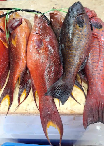 مطعم نواجل البحار للمأكولات البحرية nazill fish restaurant - الضيافة