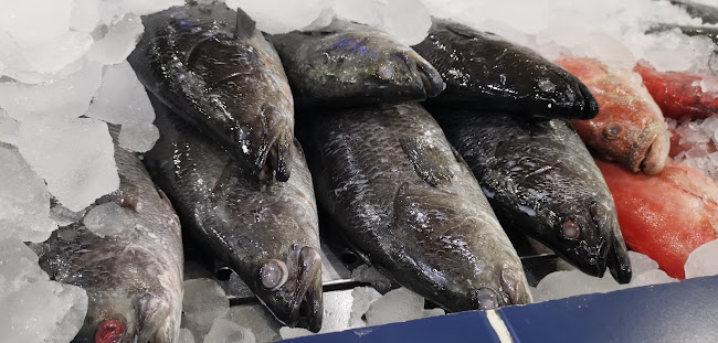 أصداف الجزر للأسماك - الرياض