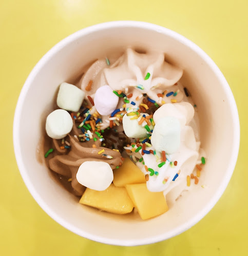 ذي فروزن يوغرت فاكتوري