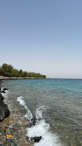 2 الامير عبدالمجيد بن عبدالعزيز، الروضة،، الروضة، املج 48321،