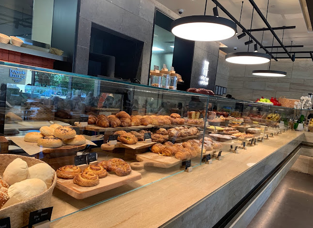 City Yard Plaza, عبدالمقصود خوجة، الروضة، Shirvan Hotel, جدة 23435