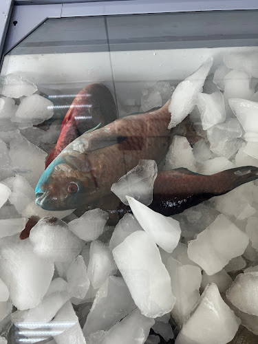 CJ9V+FP5، الروابي، المدينة المنورة 42382