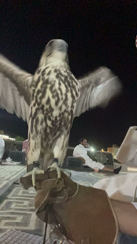 بيت الصقار :فهيد ابن فراج الكميخ الصميلي - الضيافة