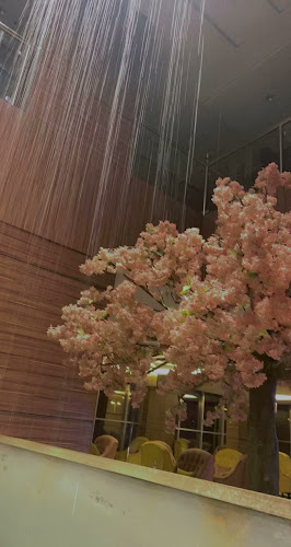 Comentarii opinii despre THE ROOF