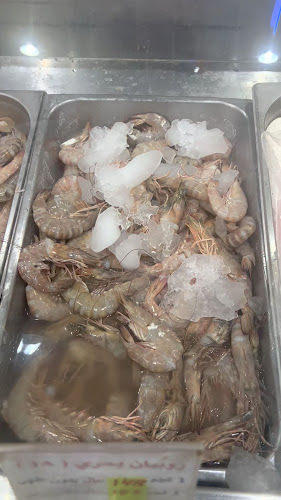 ابن سينا، المروج، الرياض 11564