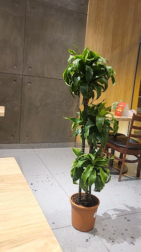 Comentarii opinii despre مطعم 911