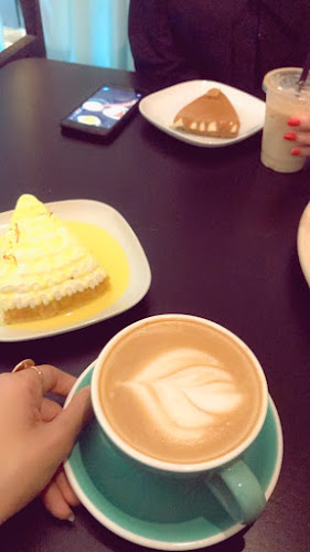 نجم الدين الشيباني، السلام، املج 48321