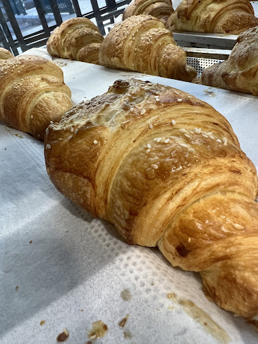 H5C5+MH7، حمد الجاسر، الروضة، جدة 23435