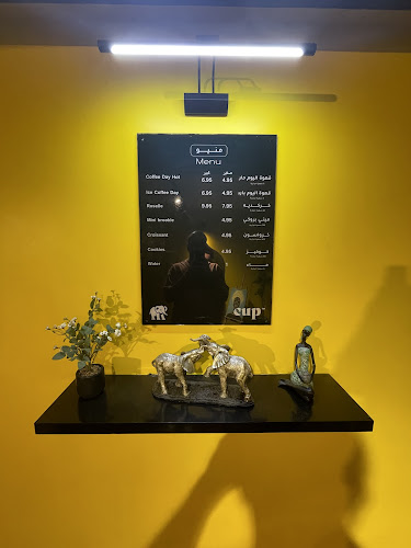 ايليفنت كب - elephant cup - الضيافة