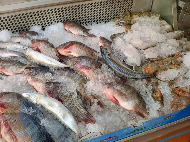 الصيّاد للإسماك - الضيافة