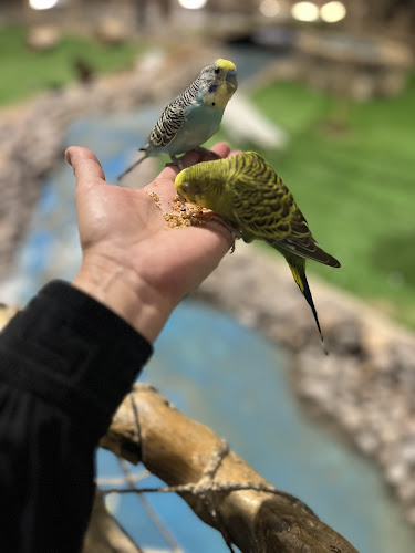 Comentarii opinii despre فطيرة - مقصد قباء