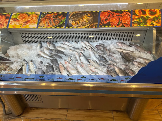 الصيّاد للإسماك