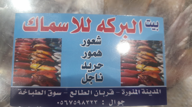 بيت البركة للأسماك