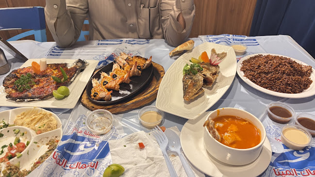 أسماك المينا جده