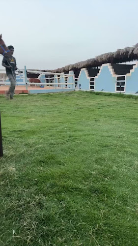 Comentarii opinii despre ركن الوليمة