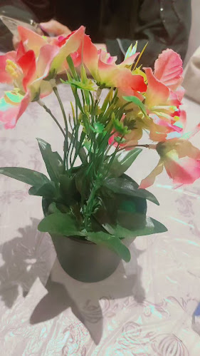 Opinii despre مطعم حاجیز în مكة - الضيافة