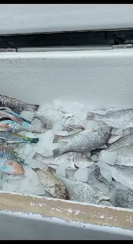 مطاعم الشيخ فهد عيد المزين للأسماك - الحلقه - المدينة المنورة