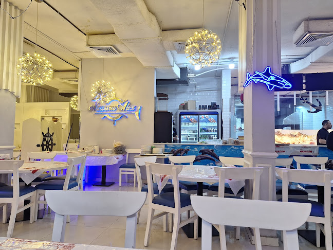 أسماك نوارة الإسكندرية - الرياض