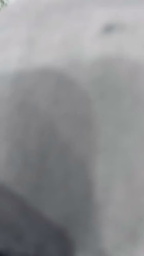 مطاعم المرسى للمأكولات البحرية - حقل