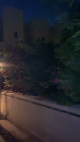 لاروستيكا بيتزارايا