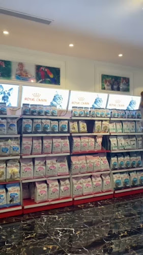 Comentarii opinii despre Q CAFE