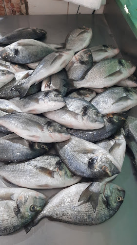 أسماك نوارة الإسكندرية