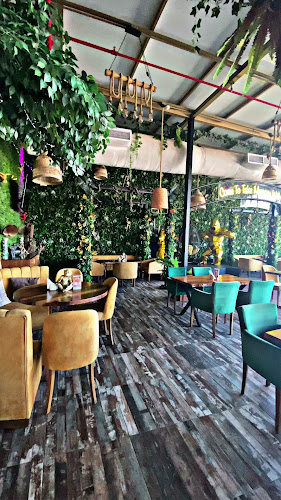 the Monkey's Lounge - جدة