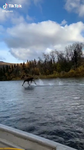 لذيذ برغر - مكة