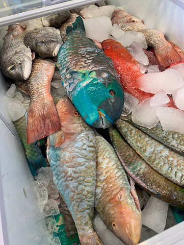 ‏ناجي عبد الرحيم للأسماك - المدينة المنورة