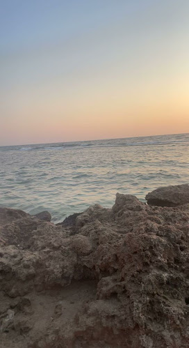 مطعم ومطبخ حضرموت الحديث - املج