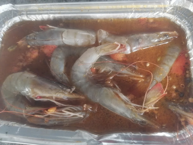 أسماك إياد - المدينة المنورة