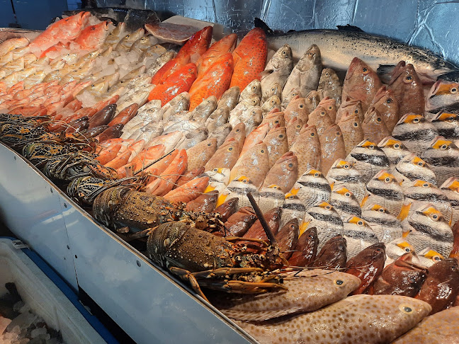 أسماك نوارة الإسكندرية - الضيافة