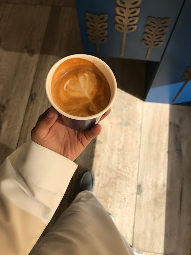 next to pizza lenuo restaurant, الحمراء، Al maady street, جدة 23212