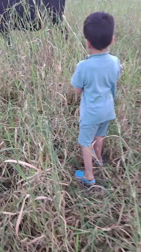 Opinii despre حليب العابدية în مكة - الضيافة