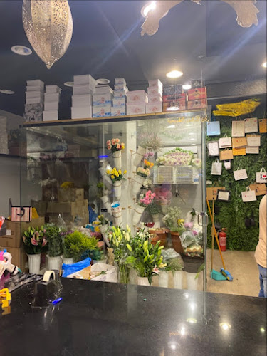 Pance Gifts online flowers delivery shop