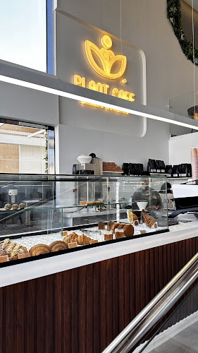 J4QR+4HW، المحمدية، جدة 23621