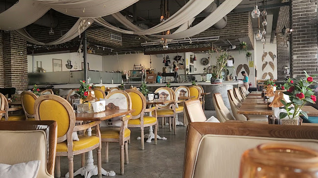 تشمني كيك - الضيافة